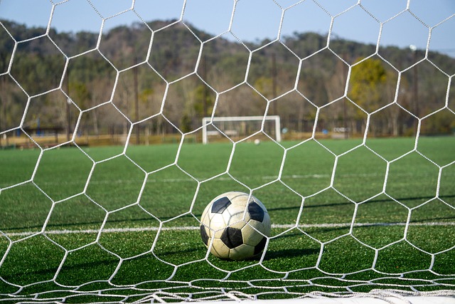 录才能为他 录才能为他