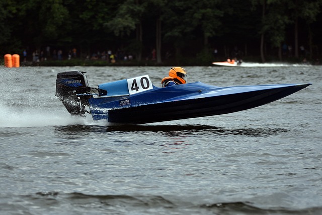 这一特质可 这一特质可