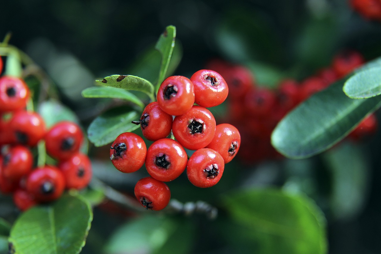 竞争激烈的 竞争激烈的