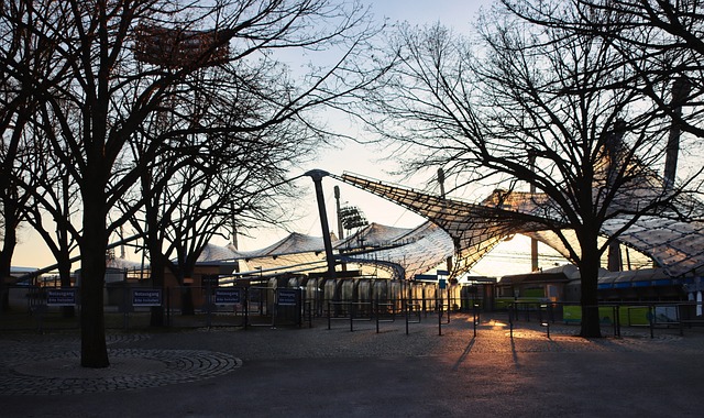 从技战术的 从技战术的