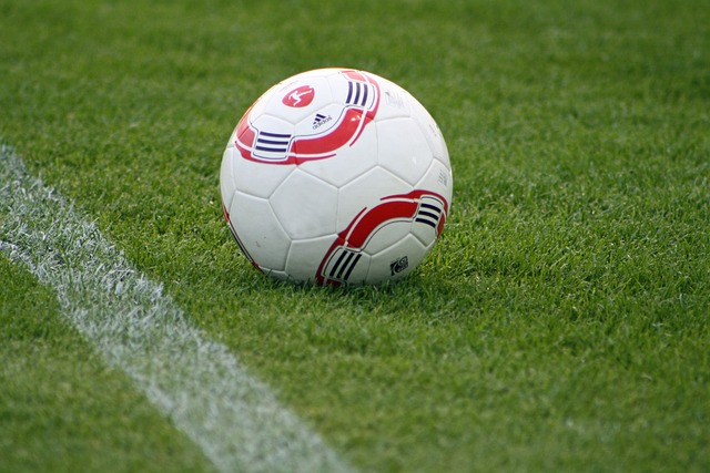 年轻才俊加 年轻才俊加