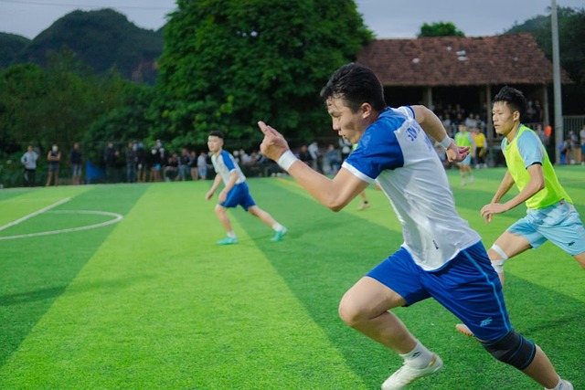 中的竞争力 中的竞争力