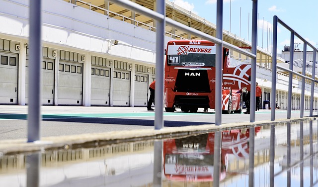 的體育世界 的體育世界