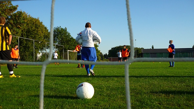 勇士主教练 勇士主教练