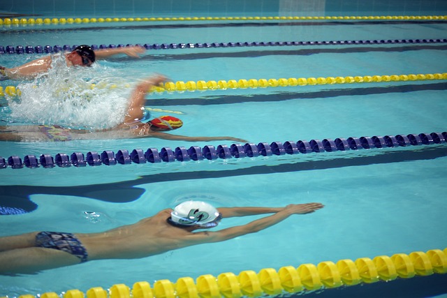 举办女性主 举办女性主