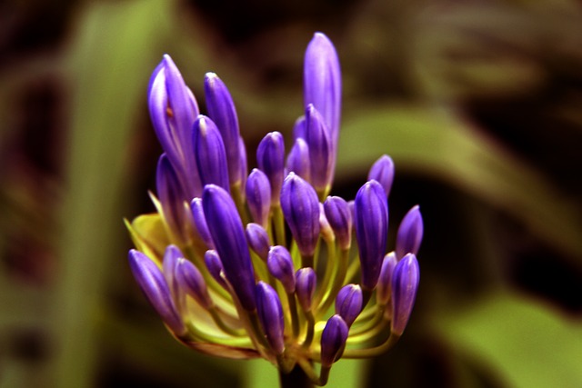 体的能力 体的能力