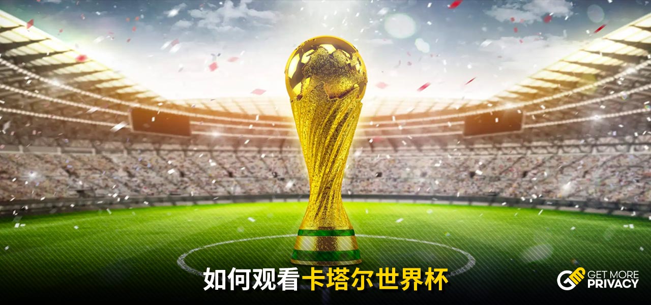 樊振东以其